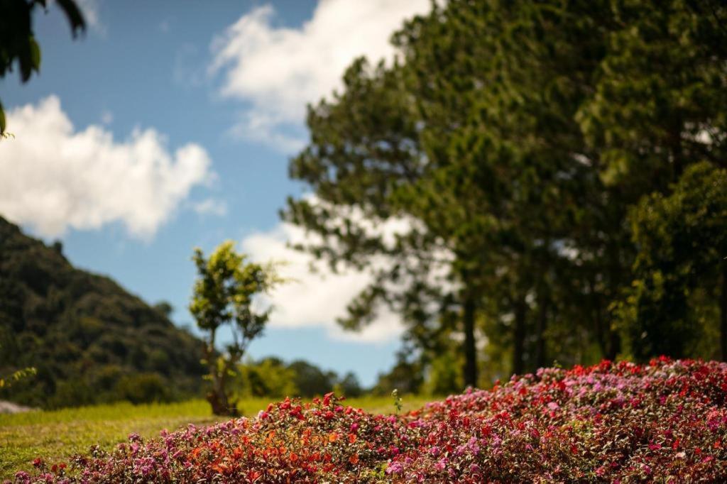 Sam Tuyen Lam Resort Далат Экстерьер фото